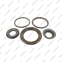 Комплект поршней (5шт., обрезиненные)