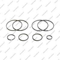 Комплект уплотнительных колец (8шт.)*